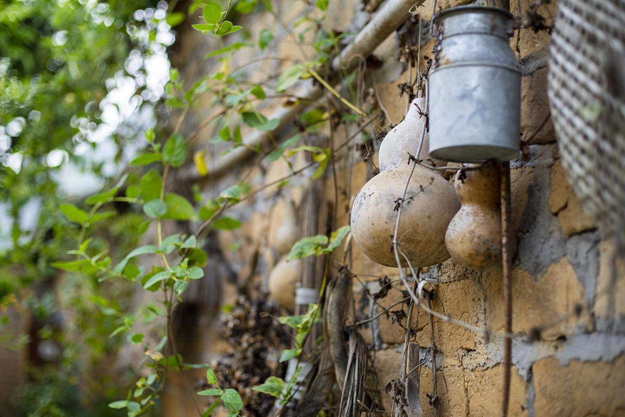 The Giggling Tree Hotel Yangshuo Bagian luar foto